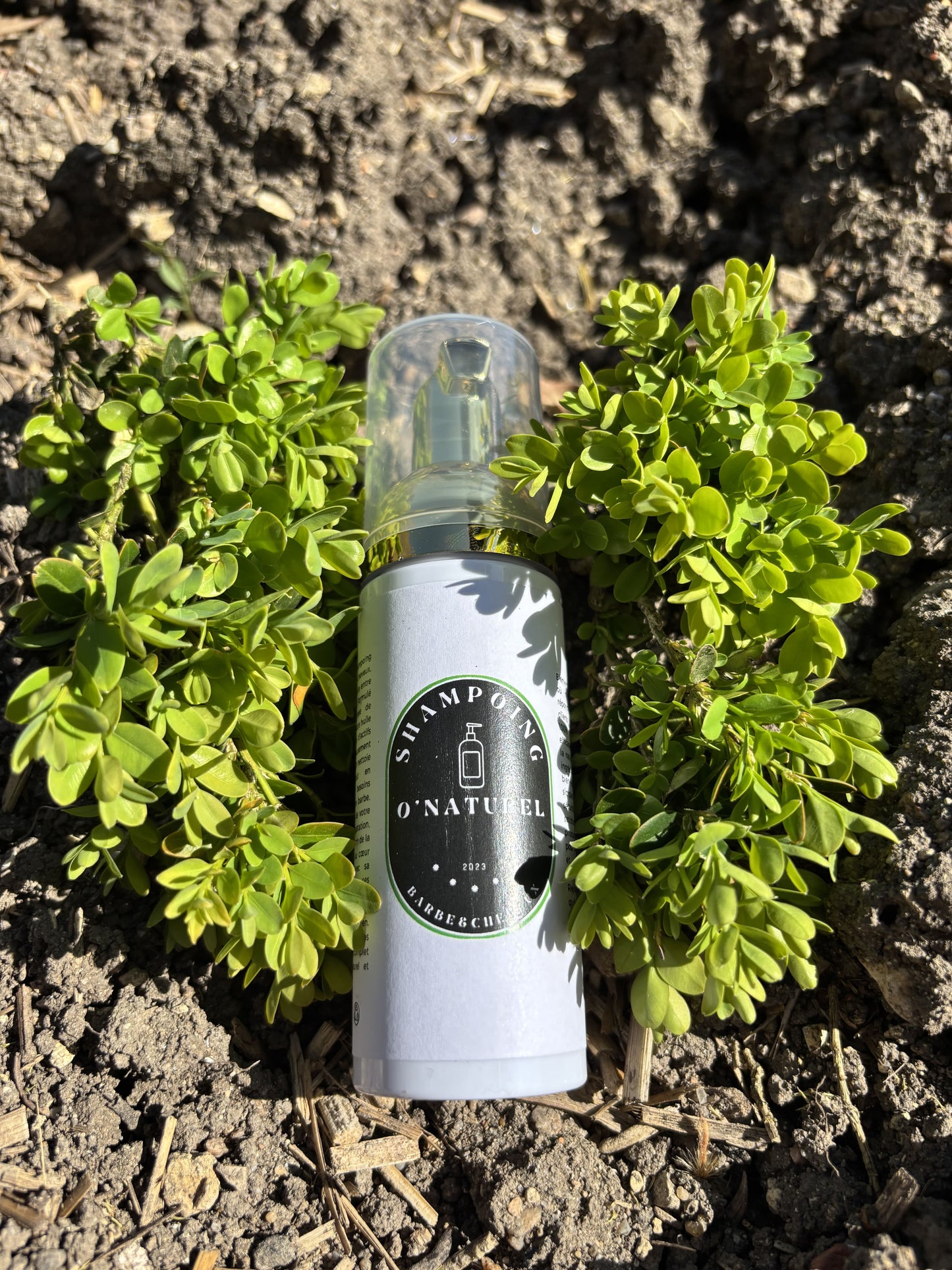 Shampooing moussant bio (Barbe)