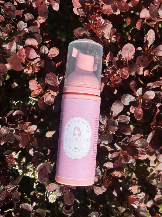 Shampooing moussant bio (Cheveux)